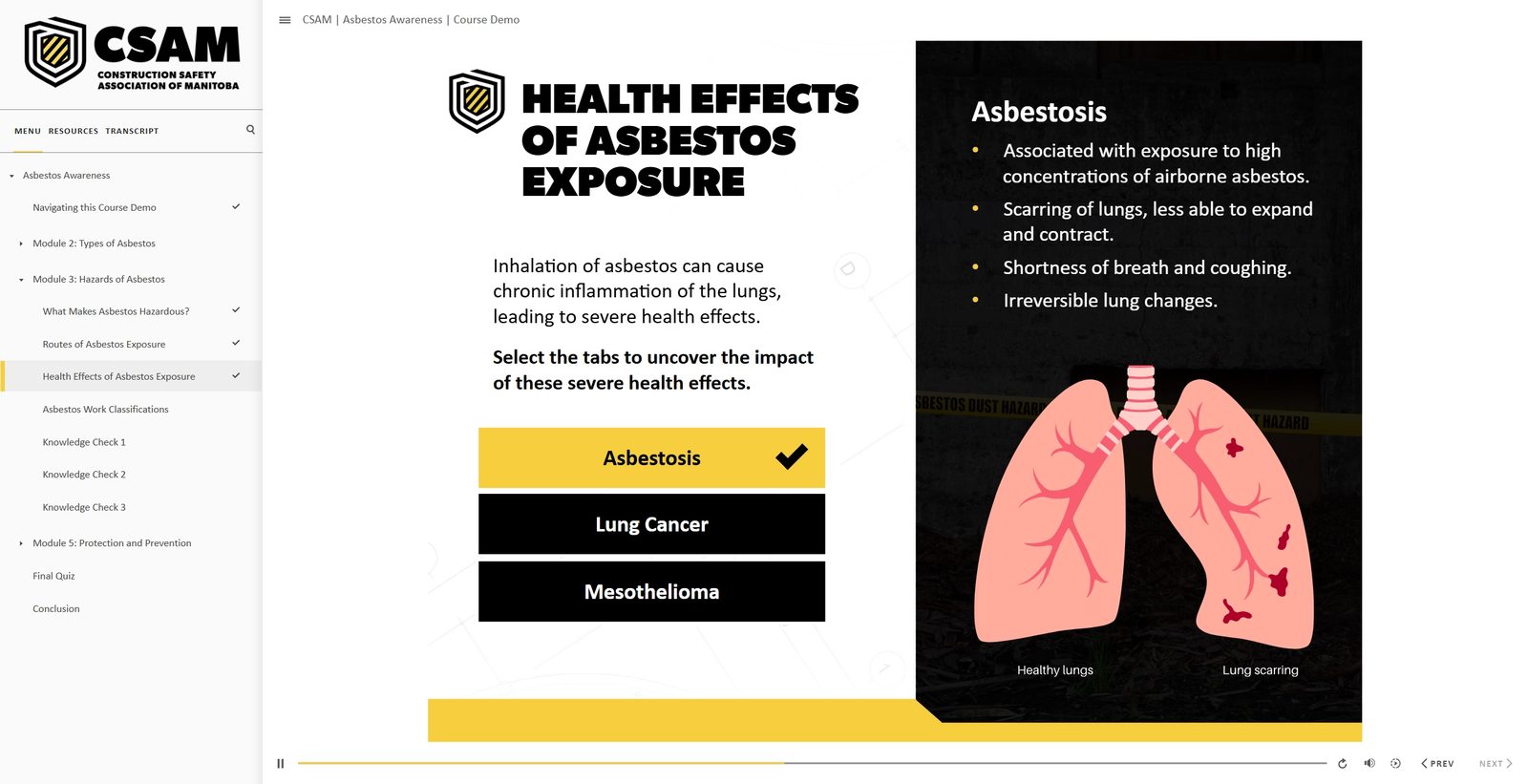 Tabbed screen on the health effects of asbestos exposure, with an illustration of healthy and scarred lungs