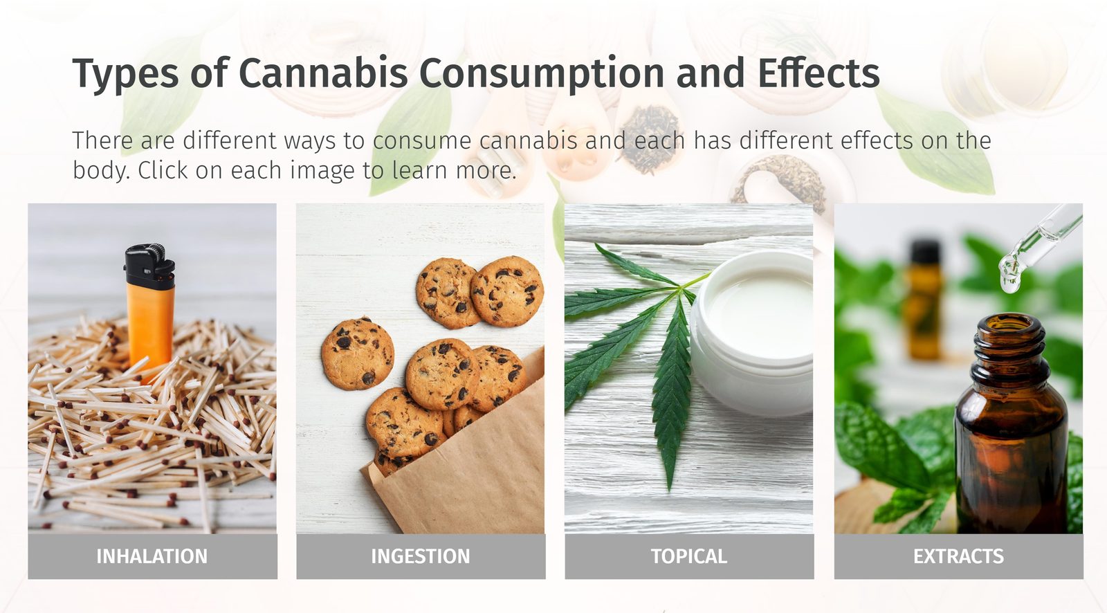 Four images for types of cannabis consumption: inhalation, ingestion, topical and extracts