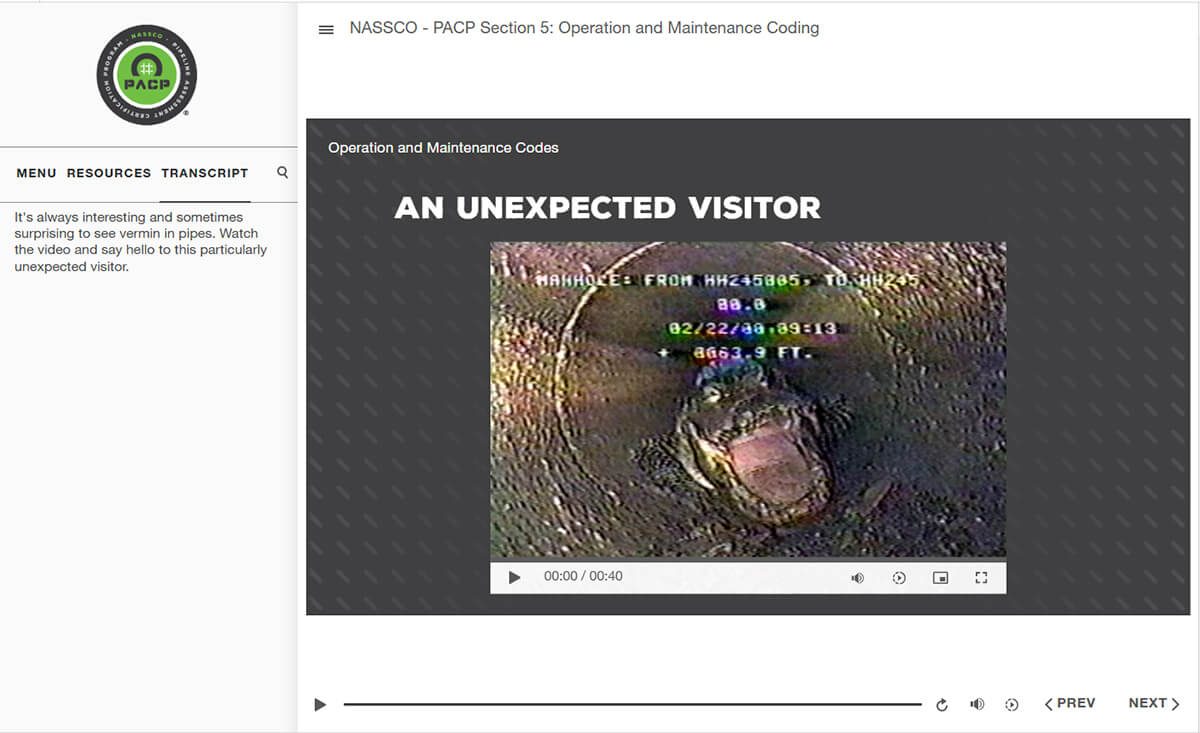 Video lesson titled An Unexpected Visitor, playing CCTV footage from inside a pipe