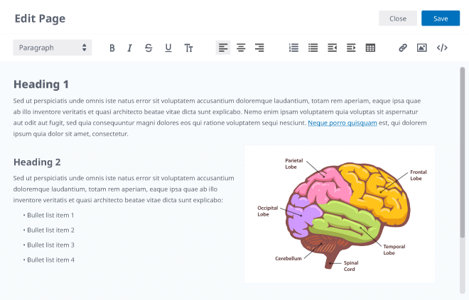 Layout of a generic WYSIWYG editor. The top displays the basic paragraph settings (bold, italic, strikeout, and underline), paragraph justifications, bullets, indents, and tables. It also shows options for inserting links, images, and HTML. Below is a sample laout in the editor with two lorem ipsum paragaphs, one bulleted list, and an image to the right side.