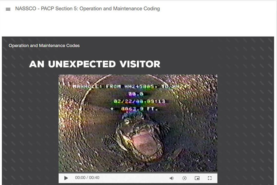 A video lesson in NASSCO's recertification series: CCTV footage of an unexpected visitor in a sewer pipe