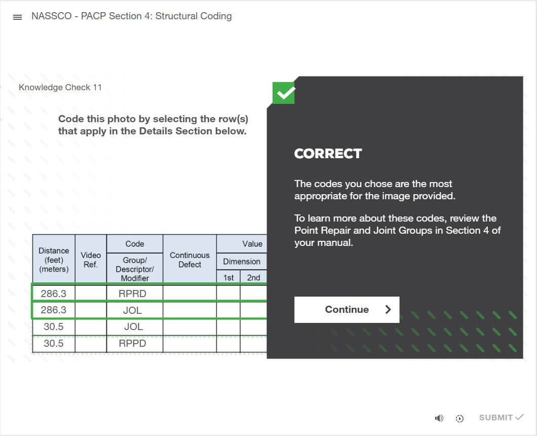 A knowledge check confirming the learner's defect codes are correct